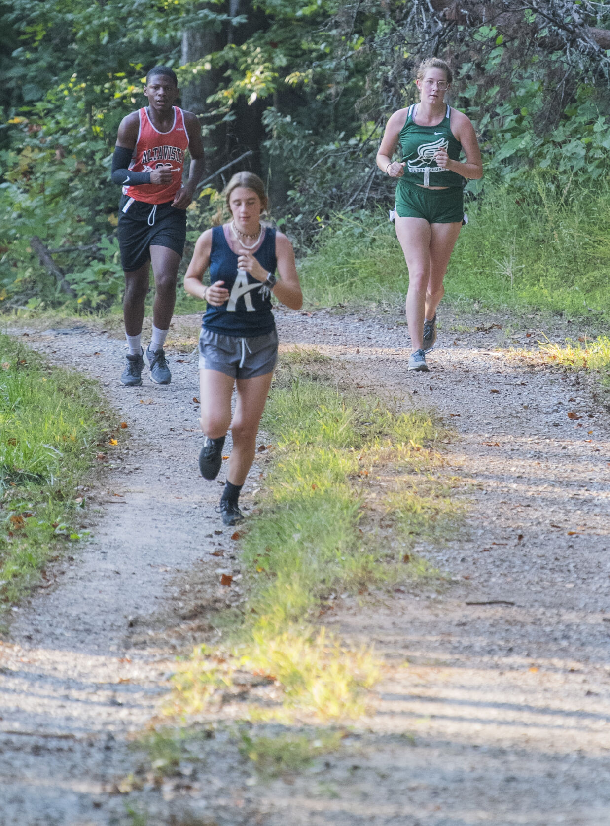 Nelson XC. 6.JPG